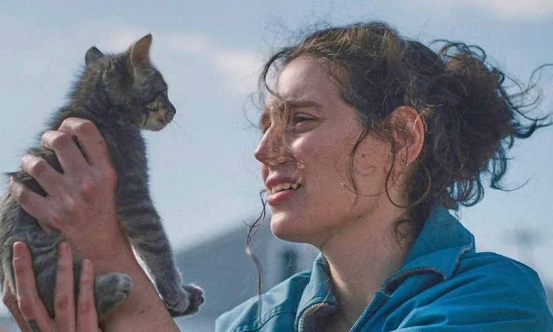 This image released by A24 shows Eva Victor in a scene from “Sorry, Baby.” (Mia Cioffy Henry/A24 via AP)